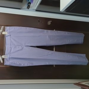 Ann Taylor Factory Modern Fit pants 14